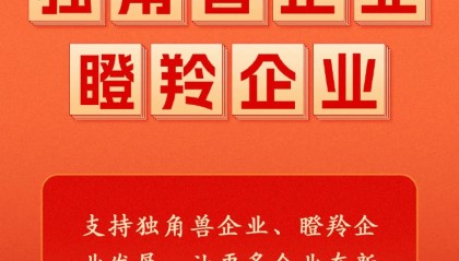政府工作報告中的新詞“瞪羚企業(yè)”，是什么意思
