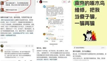 系統(tǒng)擠崩！啄木鳥維修遇退款潮 記者親歷：投訴3天沒回應(yīng)