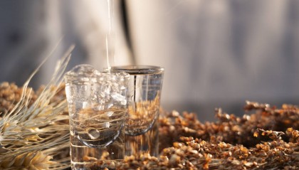 白酒巨頭“扎堆”光瓶酒：59元洋河賣爆了，有煙酒店老板半個(gè)月補(bǔ)貨四次