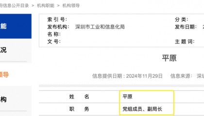 曾因“一撮白發(fā)”走紅的深圳女副區(qū)長，有了新身份