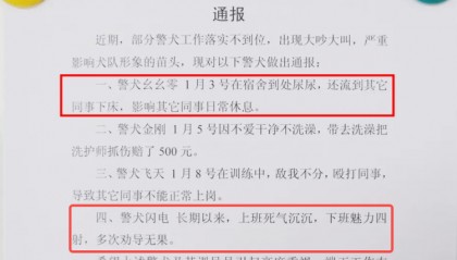 “上班死氣沉沉、下班魅力四射”，警犬被通報(bào)