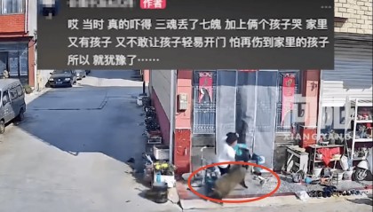 街頭橫沖直闖，抱娃女子被撞傷，警方：已被特警擊斃