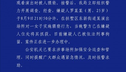 一女子在演出場(chǎng)所遭猥褻，杭州警方：嫌疑人被刑拘