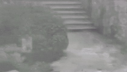 僅40秒！兩人不幸身亡