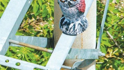 武漢：50多只“貓頭鷹”在電塔上“站崗” 提醒鳥兒別靠近