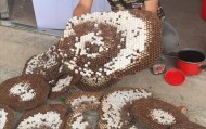 網(wǎng)紅博主“瑤族建哥”被馬蜂蜇傷身亡，最后一條視頻中他深入山區(qū)搜尋馬蜂窩