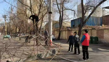 山西太原：大風(fēng)吹斷樹枝 網(wǎng)格員及時(shí)除隱患