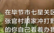貴州畢節(jié)一黃牛被鐵扦射穿身體，主人報警：懷疑有人用無人機狩獵