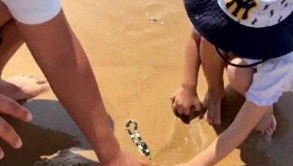 青島趕海沙灘中挖出手機(jī)，濰坊熱心游客物歸原主