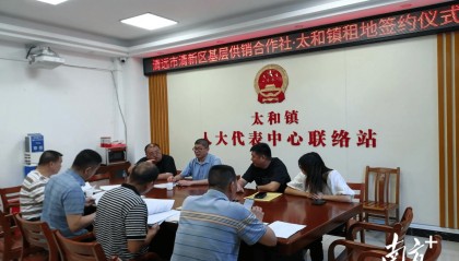 清新太和：又一項(xiàng)目簽約，打造“千畝方”優(yōu)質(zhì)絲苗米產(chǎn)業(yè)基地