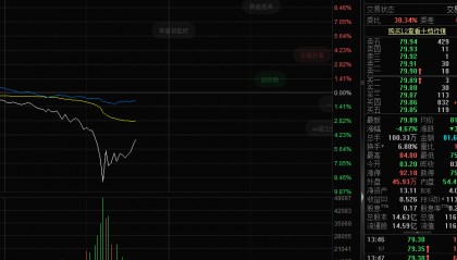 突然跳水，中科曙光一度跌幅超9%，發(fā)生了什么？