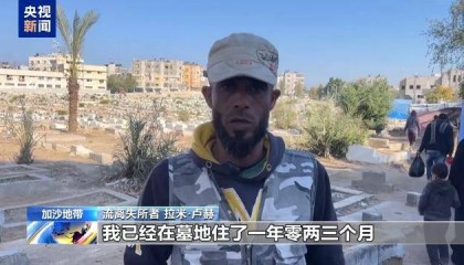 “沒工作 沒收入 只能住在墓地”，央視曝光加沙困境