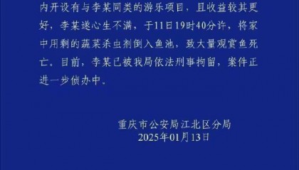 重慶警方再通報公園大量觀賞魚死亡：一男子將蔬菜殺蟲劑倒入魚池，被刑拘