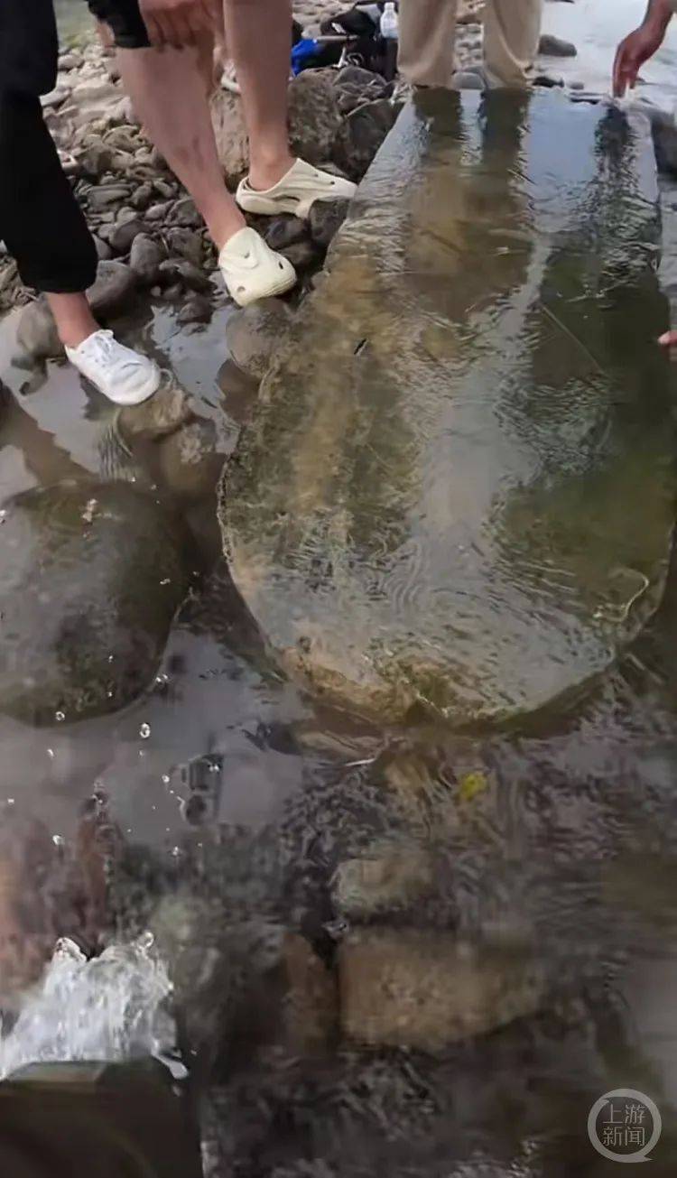 “當(dāng)時(shí)就無心釣魚了！”河南釣友在洛陽附近“釣”到古碑？文保部門回應(yīng)