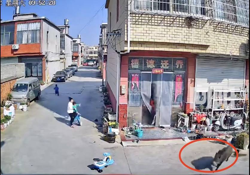 不是上海！不是上海！不是上海！最新：已被特警擊斃