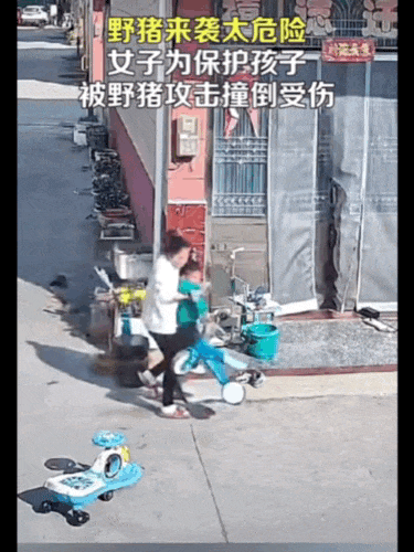 不是上海！不是上海！不是上海！最新：已被特警擊斃