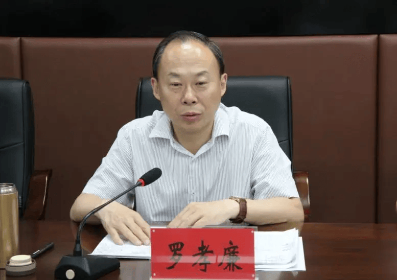 羅孝廉，被查