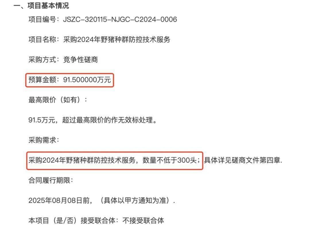 91.5萬元打300頭野豬，南京一企業(yè)中標(biāo)后棄標(biāo)，知情人：人手不夠放棄