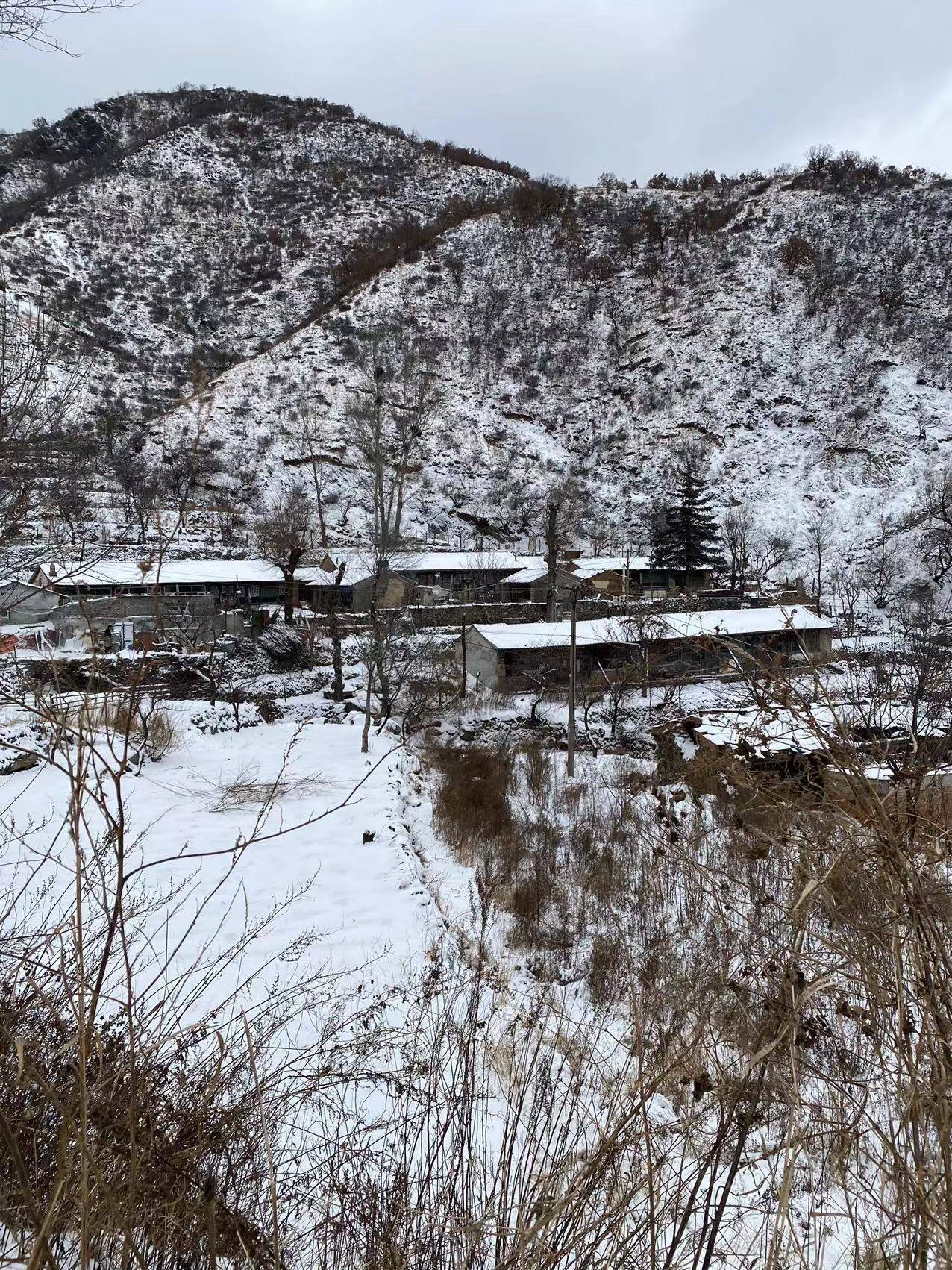 北京海拔最高山村：積雪已沒過腳面，山林銀裝素裹