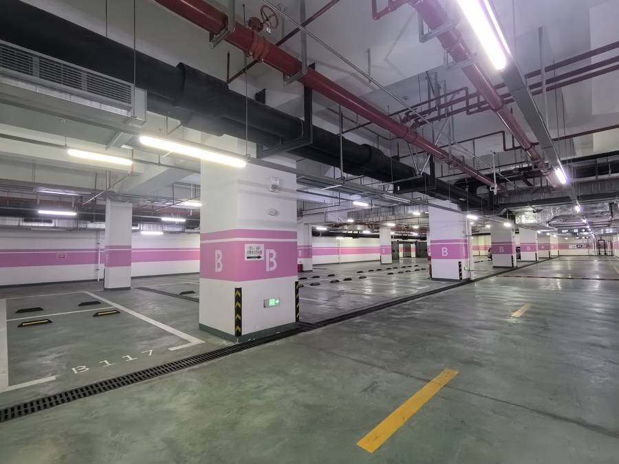 車庫寧可空著也不給停？300多輛車被硬擠到馬路上！浦東這些場館怎么了？