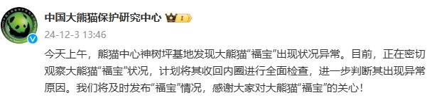 中國大熊貓保護(hù)研究中心回應(yīng)“‘福寶’出現(xiàn)狀況異?！保赫芮杏^察其狀況，計劃將其收回內(nèi)圈進(jìn)行全面檢查
