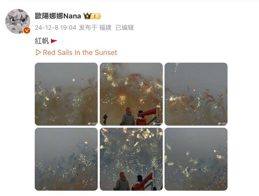 蔡國強煙花秀大量無人機墜海，網(wǎng)友直呼遺憾，本人回應