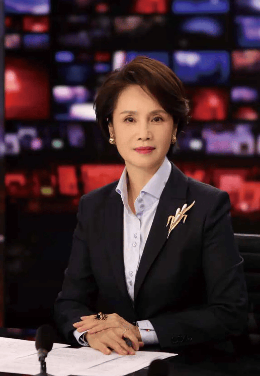 前央視知名主持人，轉行當演員