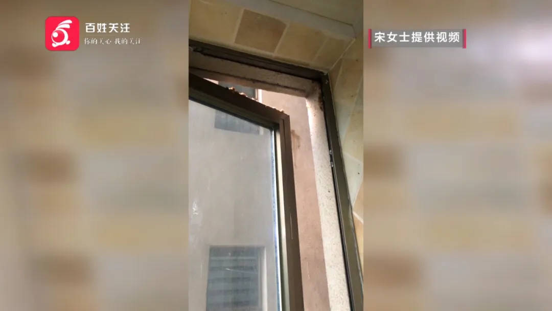 惡心壞了！貴陽一女子家中被扔進(jìn)一顆“炸彈”，殘羹剩飯炸開花