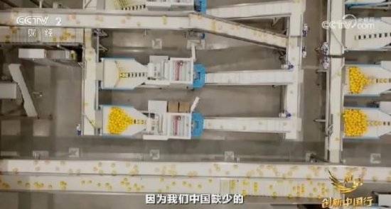 2024年末央視再度專訪鐘睒睒，背后有何深意？