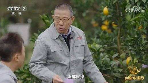 2024年末央視再度專訪鐘睒睒，背后有何深意？