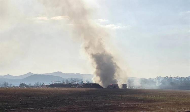 資深飛行員分析韓客機(jī)遇難事故：機(jī)腹接地后未減速，可能有兩個(gè)原因
