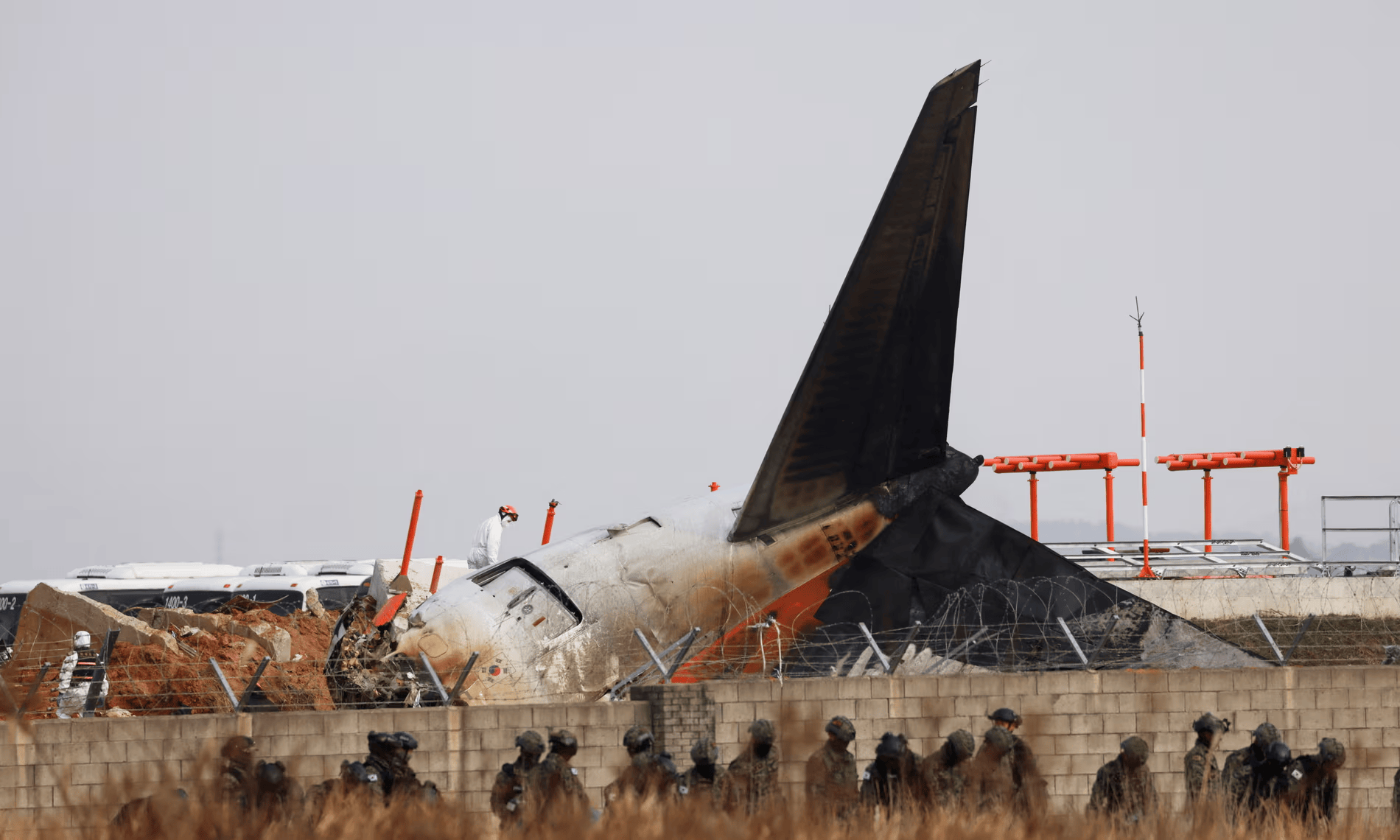 航空專家：撞鳥本身通常難以導(dǎo)致飛機墜毀