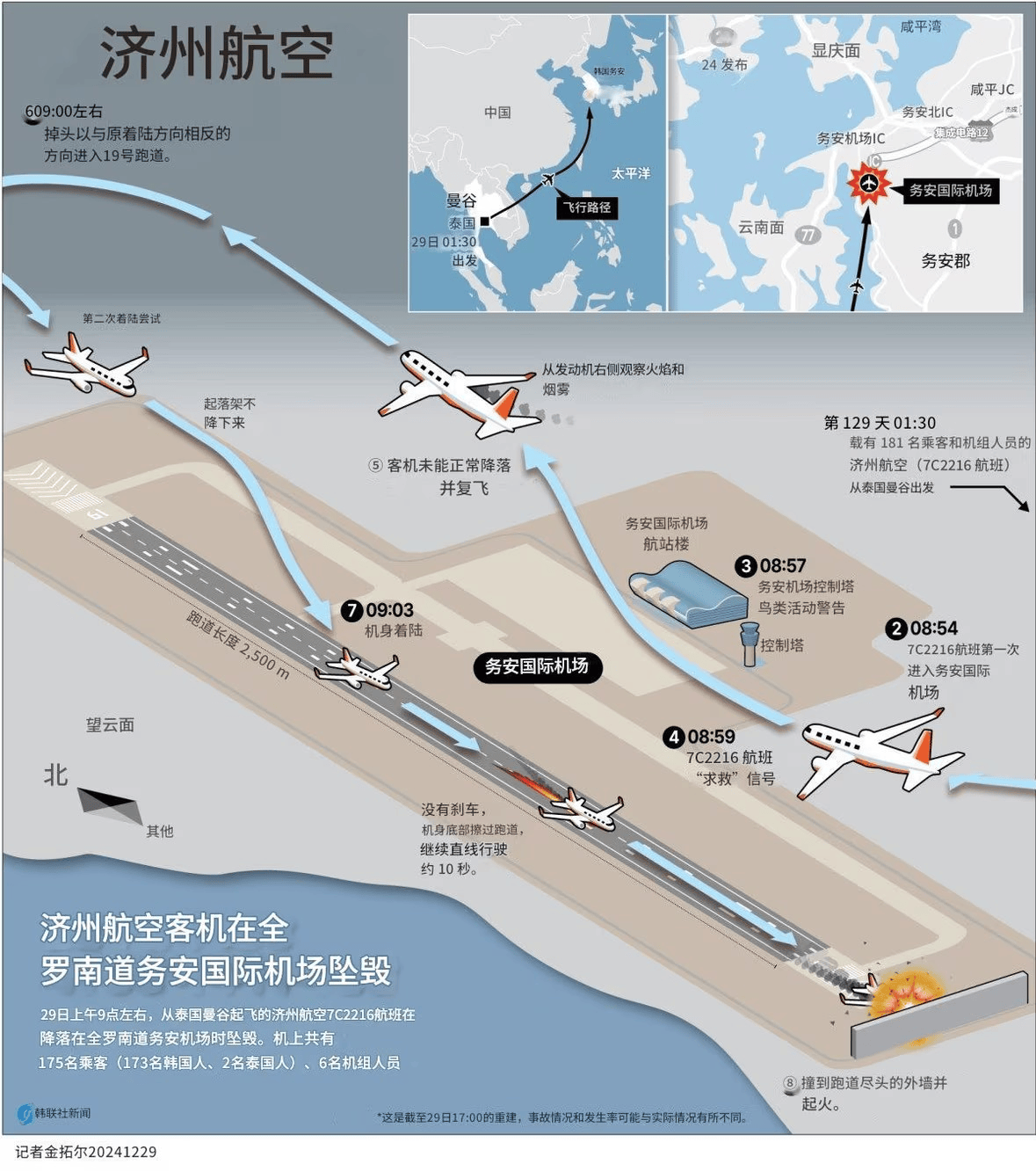 航空專家：撞鳥本身通常難以導(dǎo)致飛機墜毀
