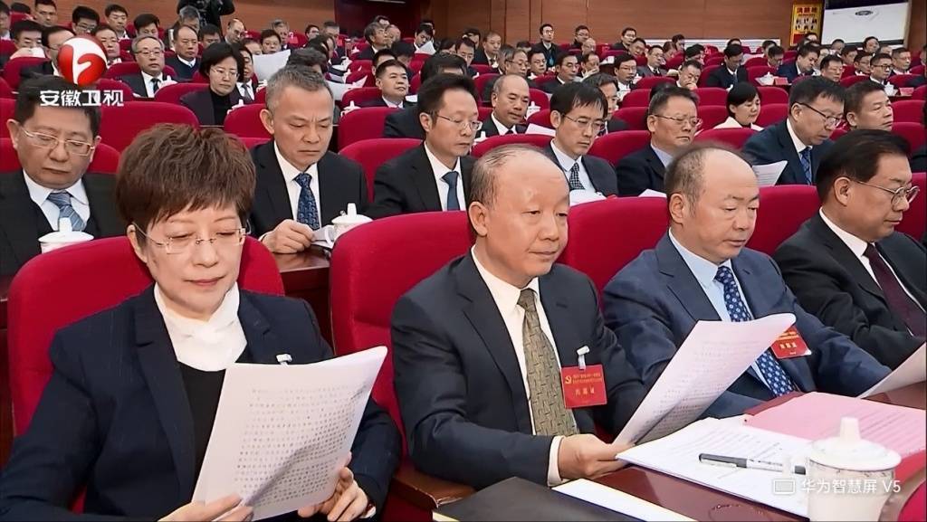 卸任黃山市委書(shū)記后，凌云參加了安徽省委十一屆九次全會(huì)