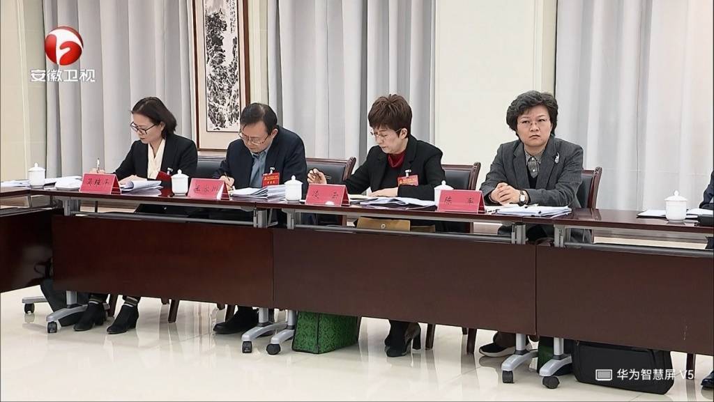 卸任黃山市委書(shū)記后，凌云參加了安徽省委十一屆九次全會(huì)