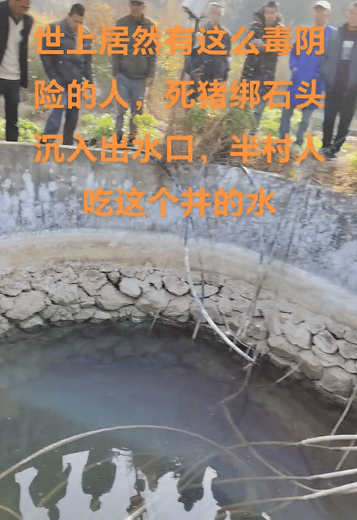 村莊水井內(nèi)發(fā)現(xiàn)被綁石頭死豬，“一半村民飲用水源”，廣西荔浦警方介入