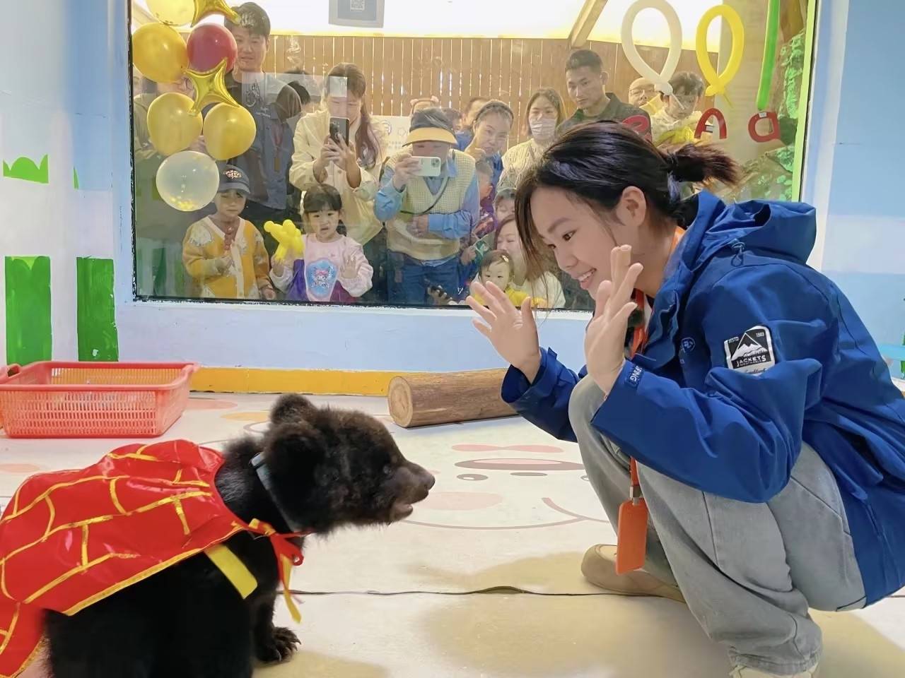 武漢女飼養(yǎng)員與棕熊“打架”引熱議，回應(yīng)：為了它以后更好融入大熊區(qū)，有意識(shí)地訓(xùn)練