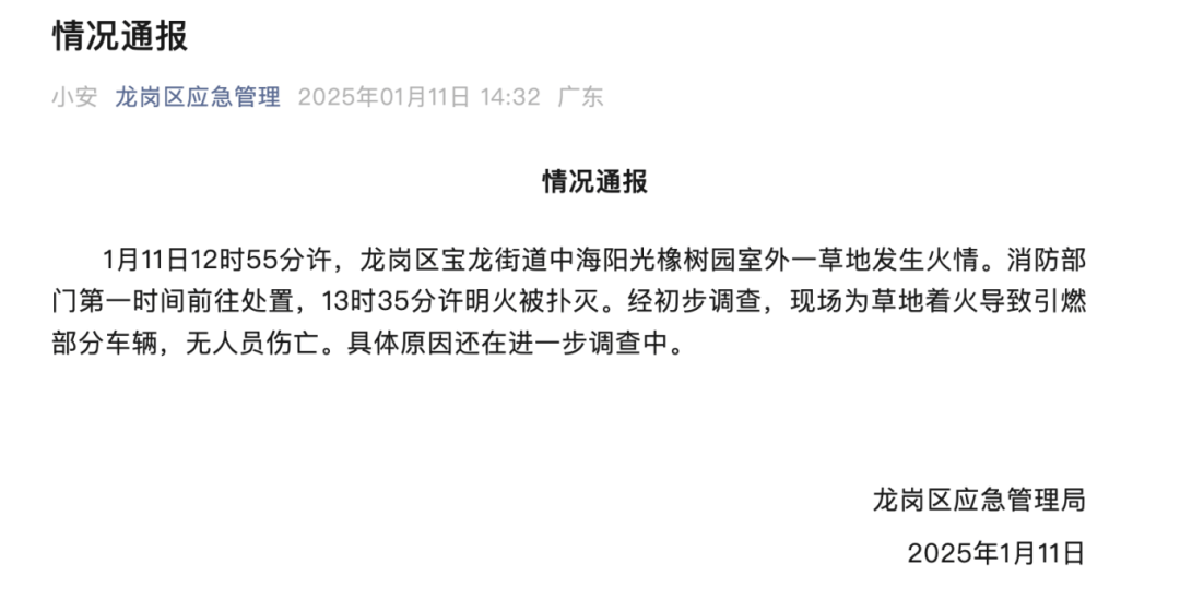黑煙滾滾！十幾輛汽車被燒！深圳官方通報(bào)