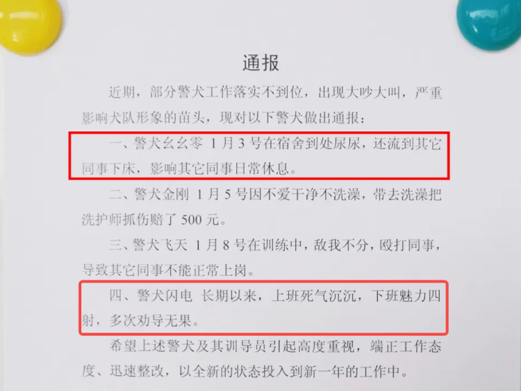 “上班死氣沉沉、下班魅力四射”，警犬被通報