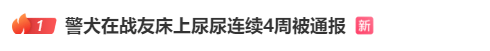“上班死氣沉沉、下班魅力四射”，警犬被通報