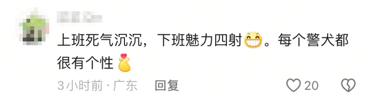 “上班死氣沉沉、下班魅力四射”，警犬被通報