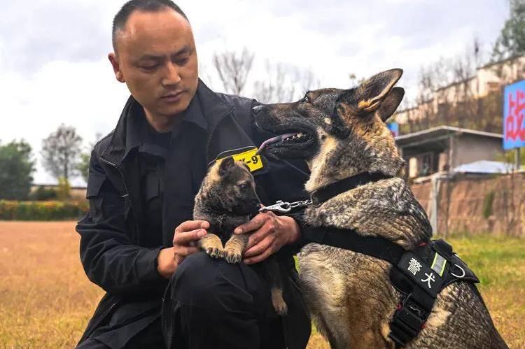 “上班死氣沉沉、下班魅力四射”，警犬被通報