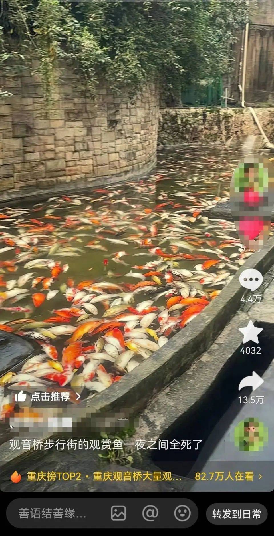 ?一公園觀賞魚大量死亡，死魚裝滿30余編織袋，警方通報(bào)
