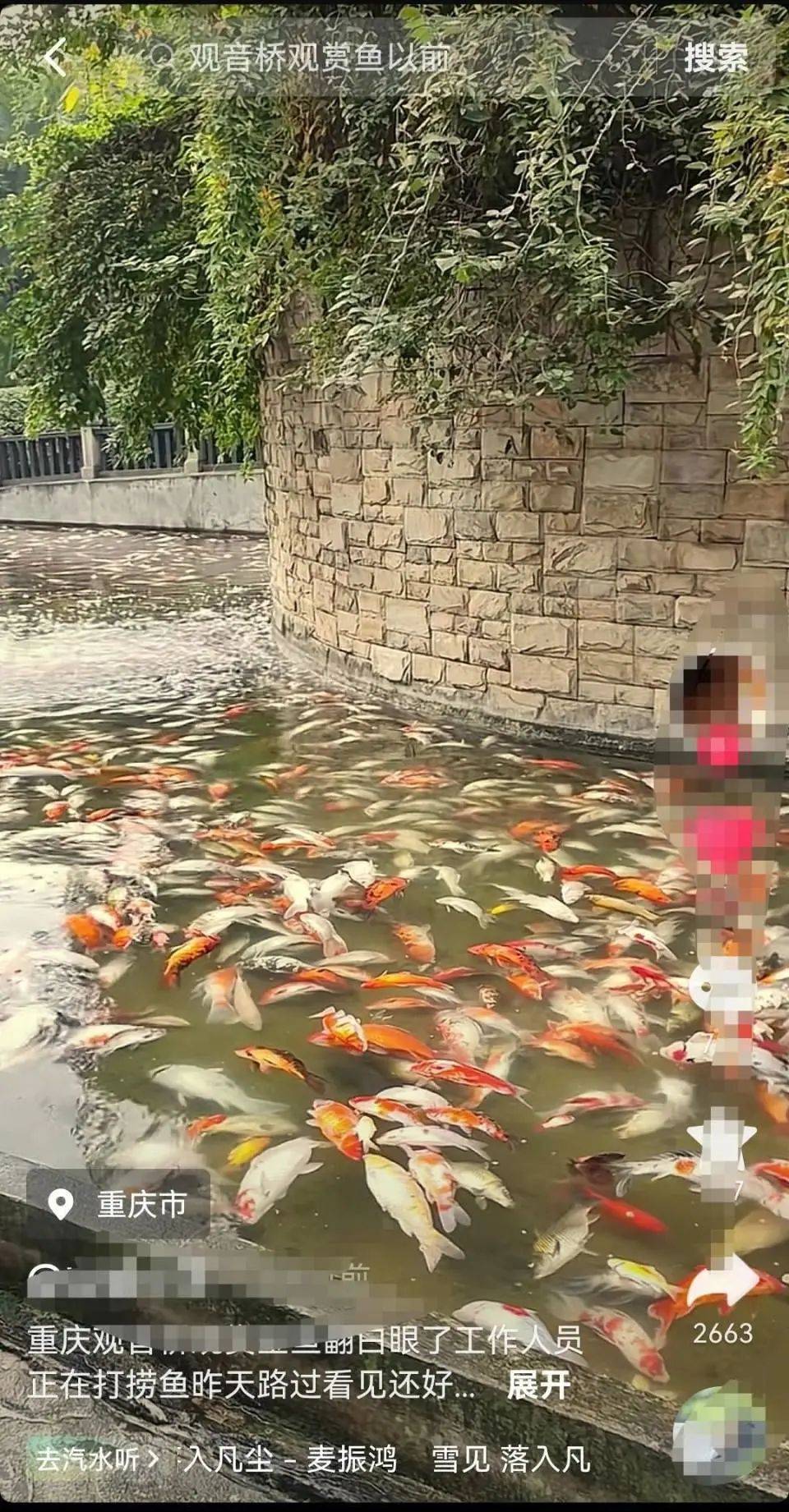?一公園觀賞魚大量死亡，死魚裝滿30余編織袋，警方通報(bào)