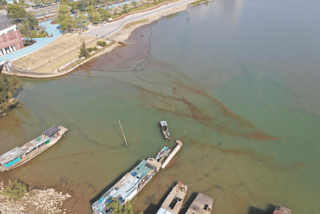 海邊密集出現(xiàn)“爆爆珠”？廣州、深圳等多地發(fā)布提醒