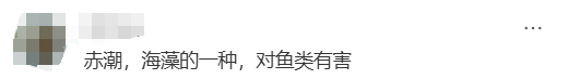 海邊密集出現(xiàn)“爆爆珠”？廣州、深圳等多地發(fā)布提醒