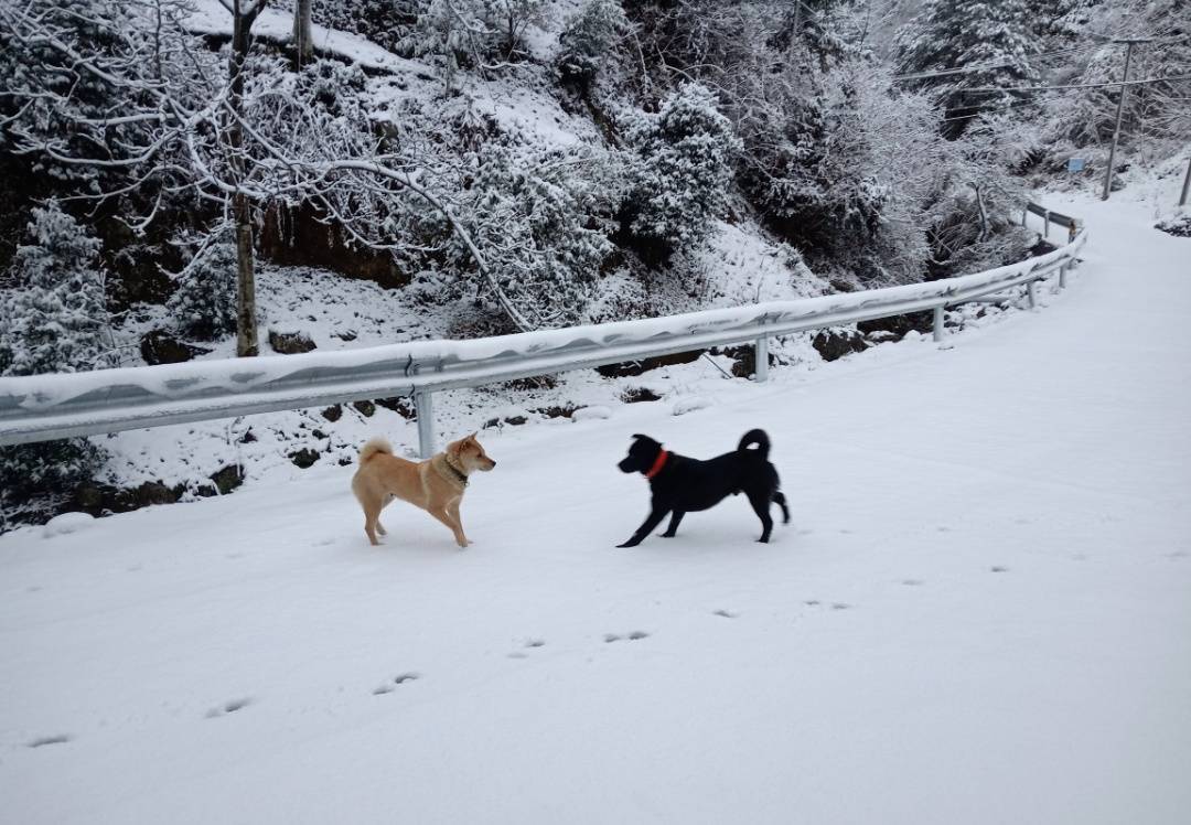 零下7℃！大到暴雪！剛剛確認：杭州又來一波猛的！周末出門千萬注意.....