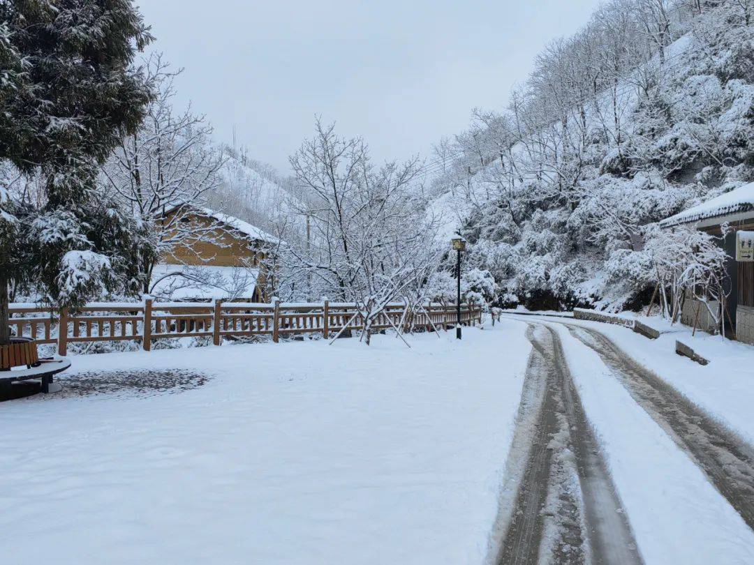 零下7℃！大到暴雪！剛剛確認：杭州又來一波猛的！周末出門千萬注意.....