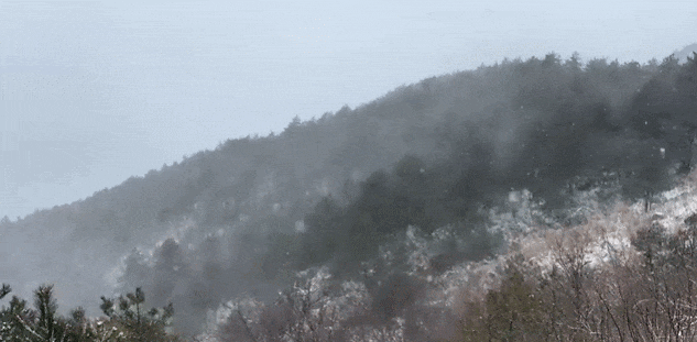 零下7℃！大到暴雪！剛剛確認：杭州又來一波猛的！周末出門千萬注意.....