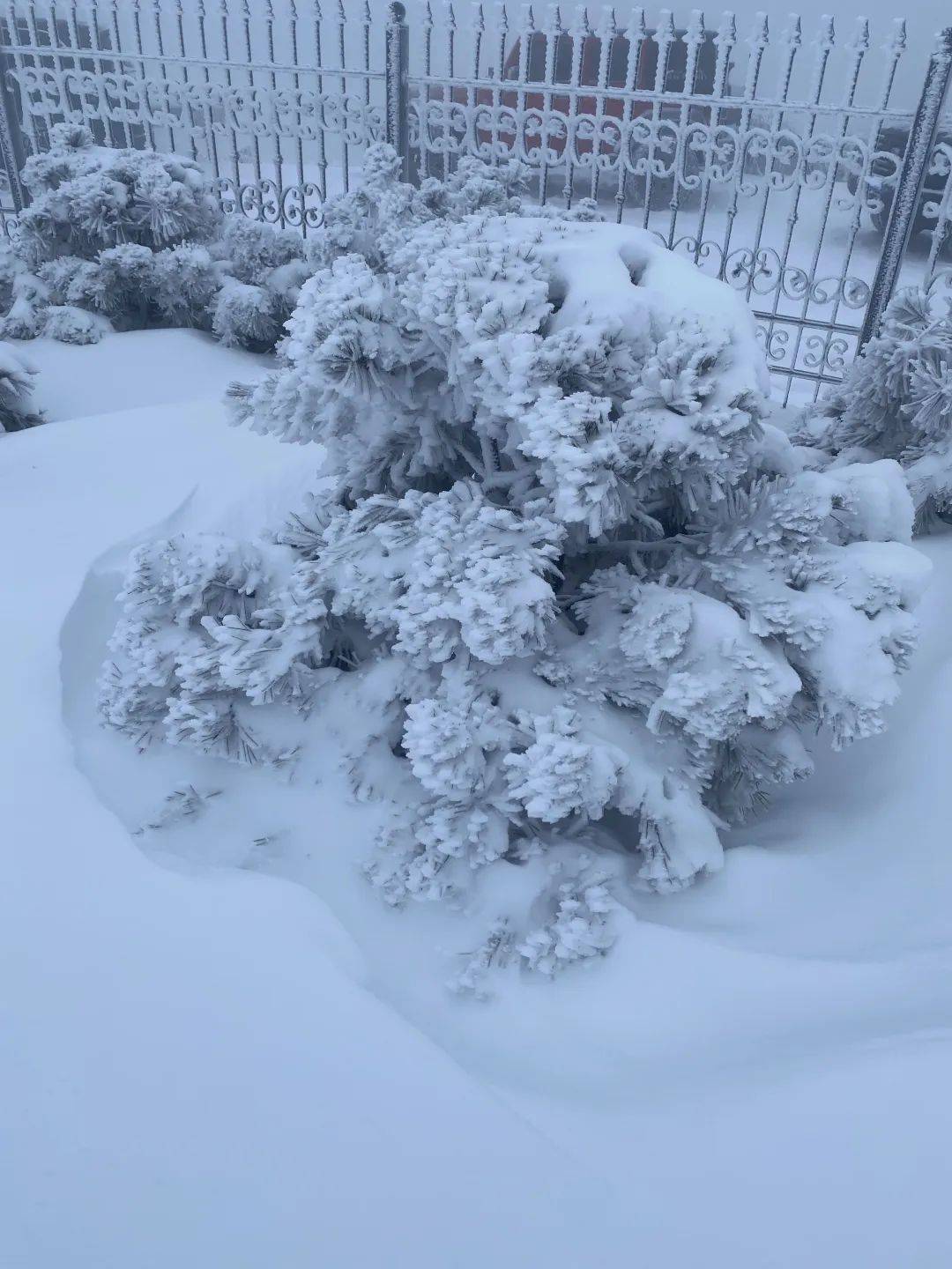 零下7℃！大到暴雪！剛剛確認：杭州又來一波猛的！周末出門千萬注意.....